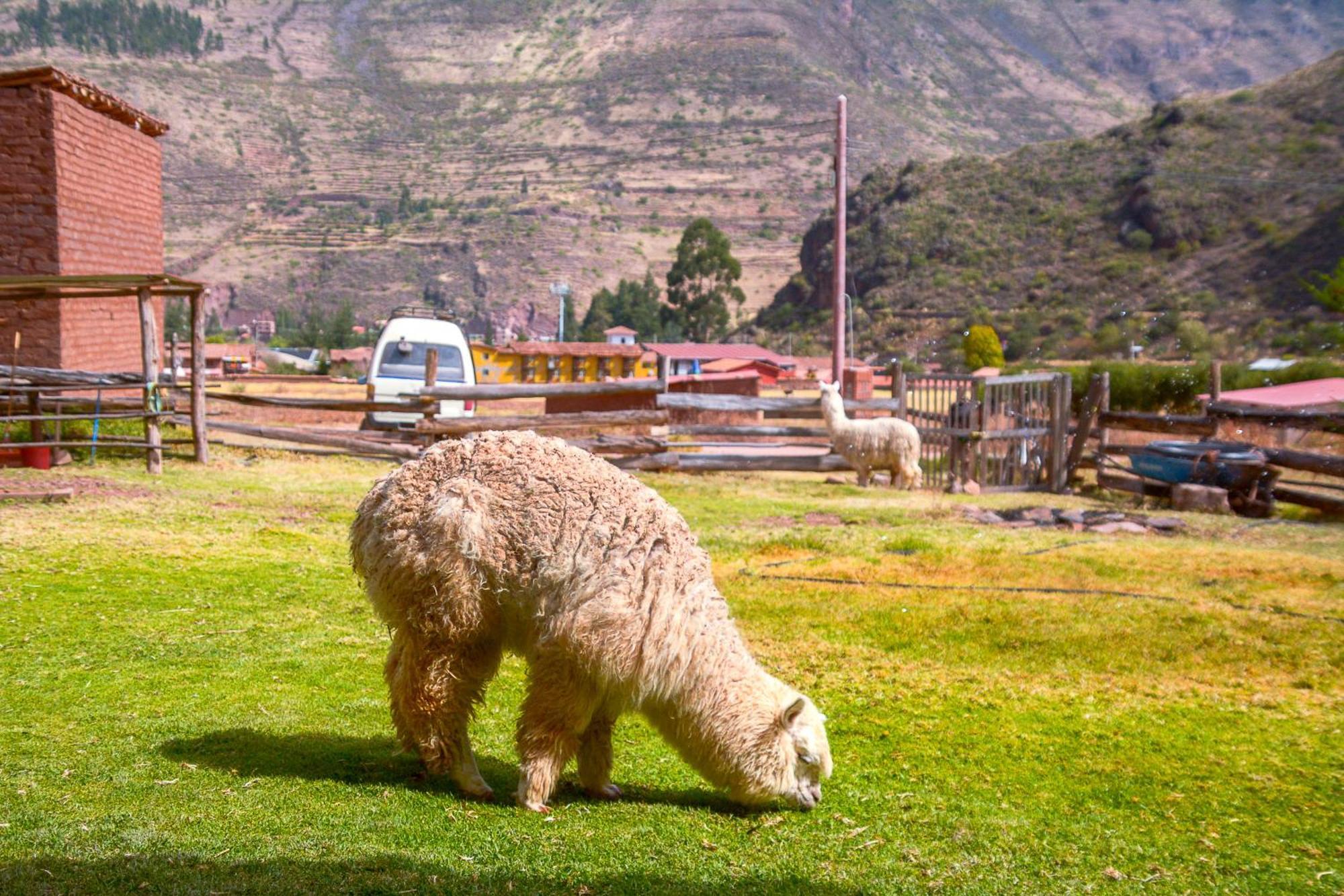 Manchitas Wasi Apartman Pisac Kültér fotó
