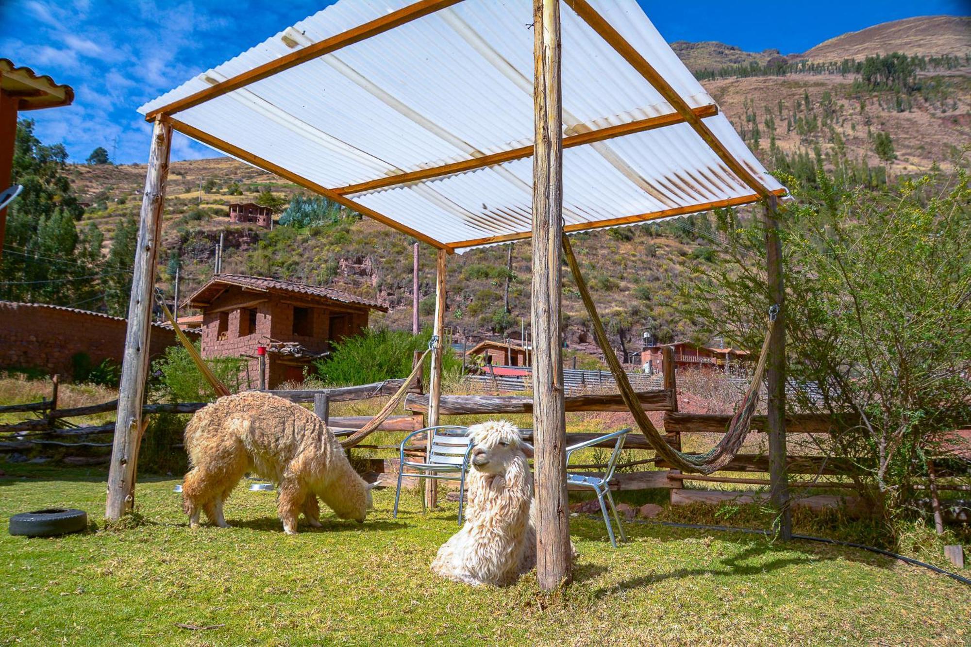 Manchitas Wasi Apartman Pisac Kültér fotó